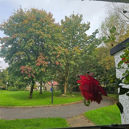 Longford Holiday Red Rose Self Catering Cottage Екстериор снимка